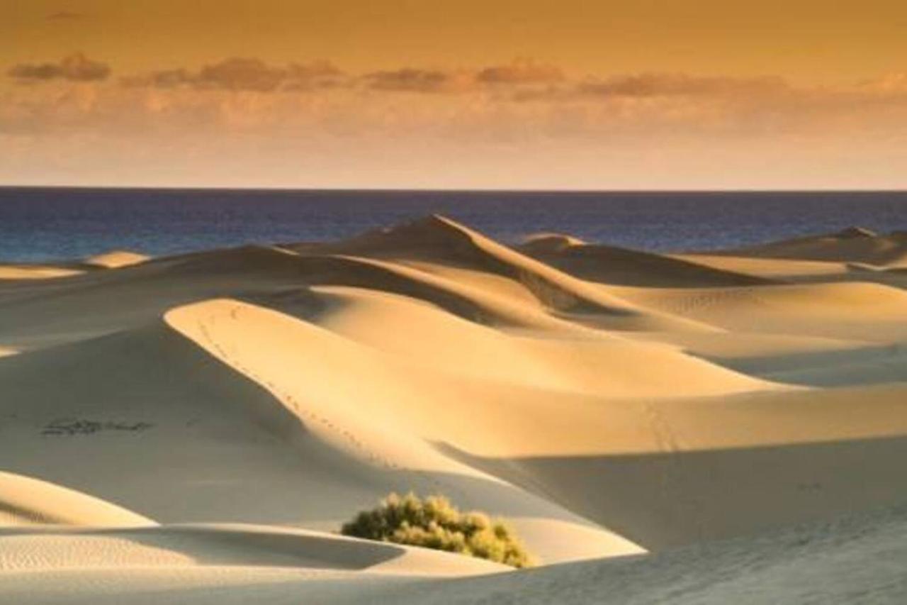Amazing Bungalow With Wi-Fi For Relaxing Holidays Maspalomas  Eksteriør bilde